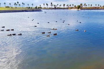 Photo 48