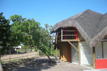 Photo 31