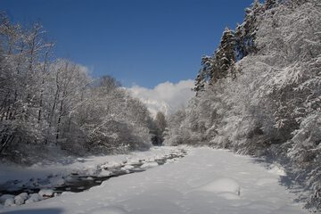 Snowshoeing