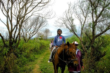 Horseback riding
