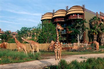 Safari
