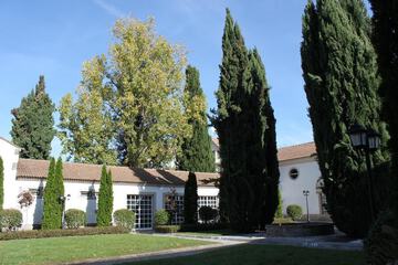 Outdoor banquet area