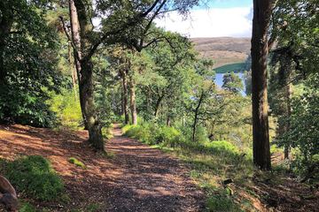 Hiking