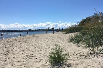 Photo 43