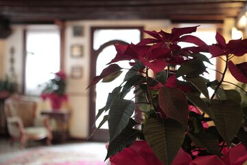 Indoor wedding