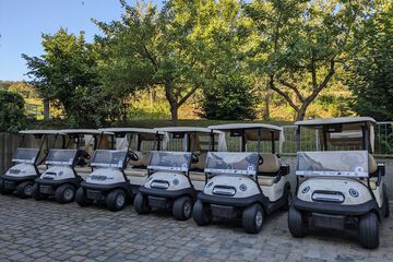 Golf cart