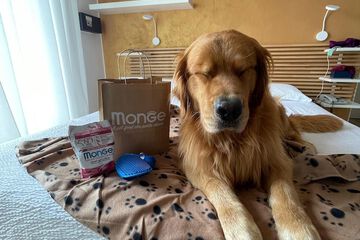 Pet-friendly amenities