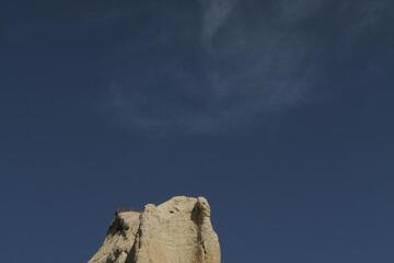 Photo 35