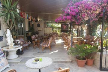Photo 48