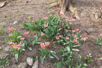 Photo 49