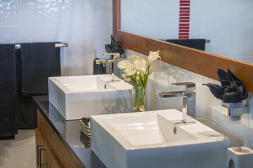 Bathroom sink