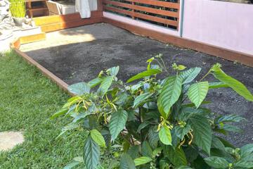 Photo 33