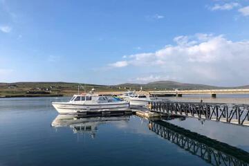 Photo 51