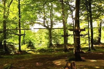 Ropes course (team building)