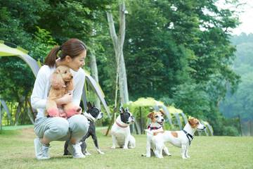 Pet-friendly amenities