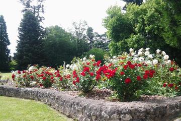 Photo 42