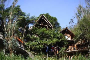 Photo 49