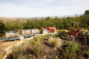 Children's activities