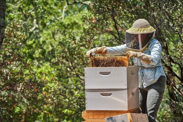 Children's activities