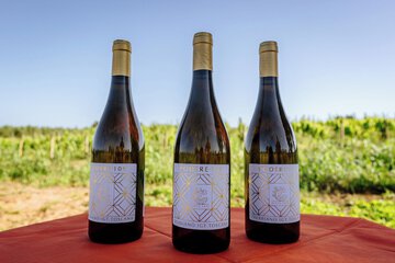 Winery