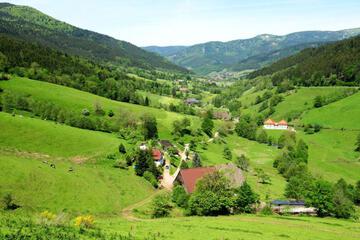 Photo 26