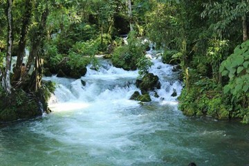 Ecotours
