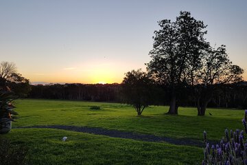 Land view from property