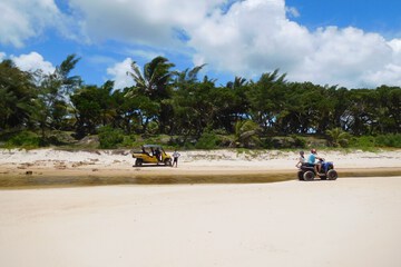 Ecotours