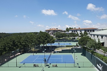 Tennis court