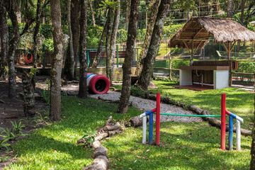 Pet-friendly amenities