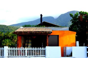 Photo 50
