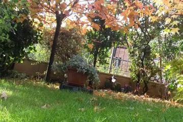 Photo 32
