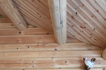 Interior detail