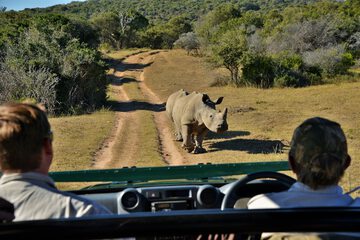 Game viewing