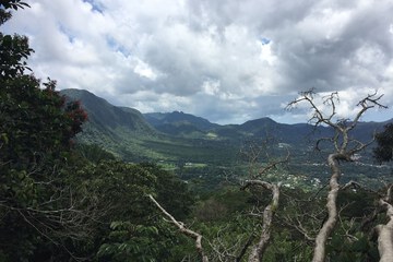Hiking