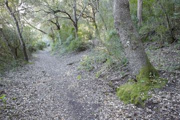 Hiking
