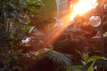 Photo 35