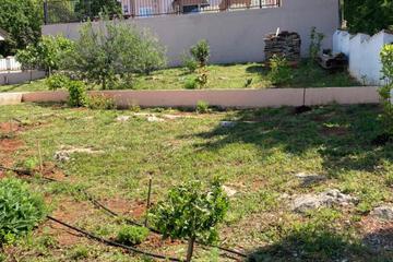 Photo 51