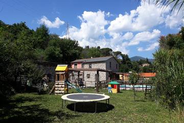 Photo 36