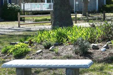 Photo 45