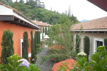 Photo 27