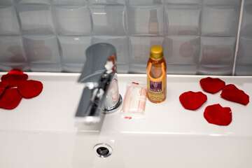 Bathroom sink