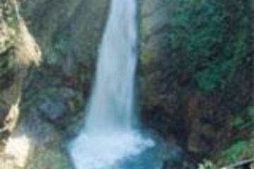 Photo 49