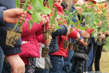 Children's activities
