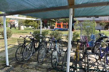 Photo 44