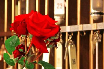 Photo 31