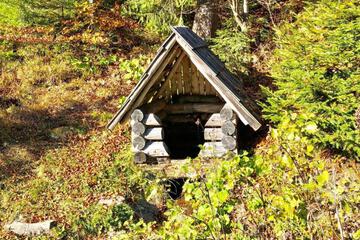 Photo 48