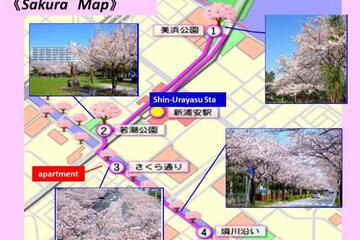 Photo 43