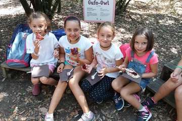 Children's activities