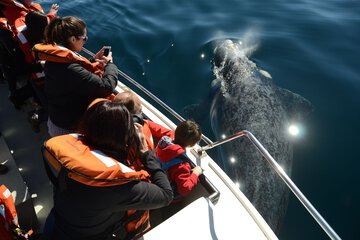 Ecotours